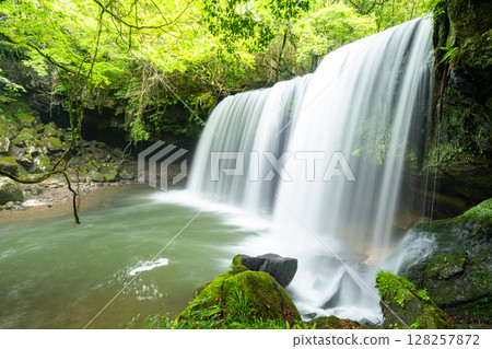 (Oguni Town, Kumamoto Prefecture) Nabegataki Falls with fresh greenery 128257872