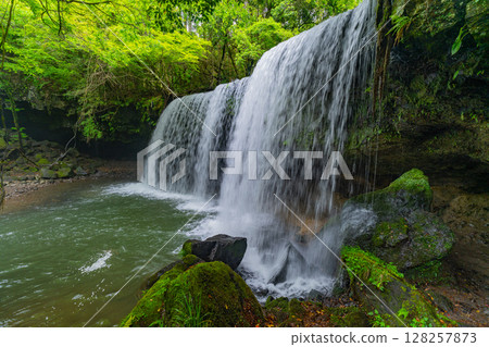 (Oguni Town, Kumamoto Prefecture) Nabegataki Falls with fresh greenery 128257873