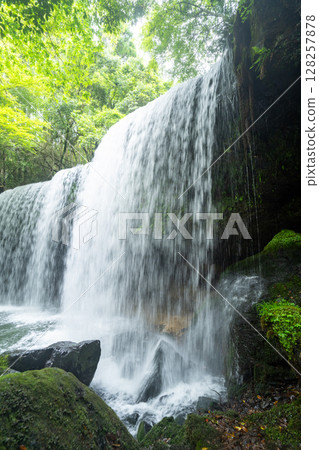 (Oguni Town, Kumamoto Prefecture) Nabegataki Falls with fresh greenery (Oguni Town, Kumamoto Prefecture) Nabegataki Falls with fresh greenery 128257878