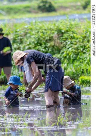 Parent and child rice planting experience - Toddler 128257971
