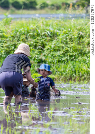 Parent and child rice planting experience - Toddler 128257973
