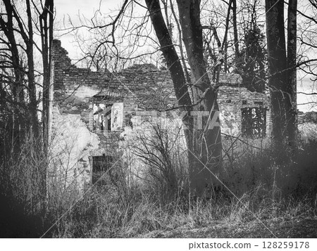 A house with a lot of trees in the background A house with a lot of trees in the background 128259178