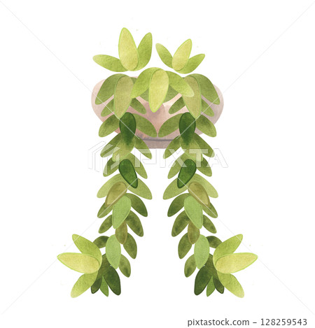 Succulent in a light wide pot. Interior decor. Isolated watercolor illustration. 128259543