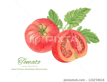 水彩手繪新鮮番茄素材 128259616