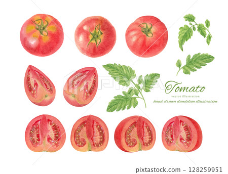 A set of watercolor hand-drawn illustrations of various tomatoes 128259951