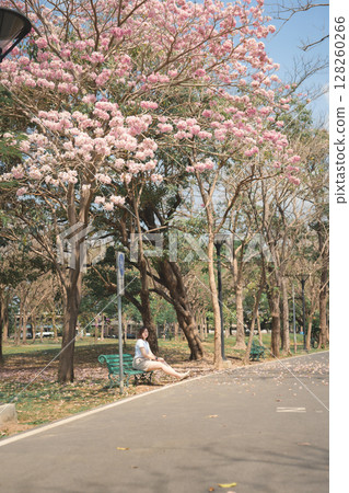 asian woman solo traveler relax and enjoy to see pink cherry blossom blooming from springtime road trip 128260266