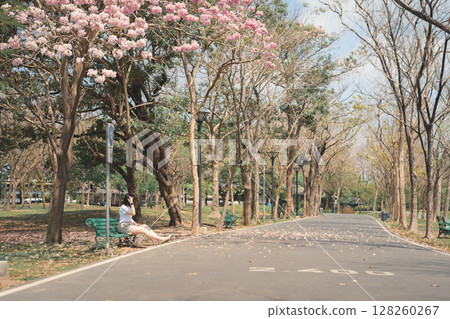 asian woman solo traveler relax and enjoy to see pink cherry blossom blooming from springtime road trip asian woman solo traveler relax and enjoy to see pink cherry blossom blooming from springtime road trip 128260267