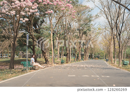 asian woman solo traveler relax and enjoy to see pink cherry blossom blooming from springtime road trip 128260269