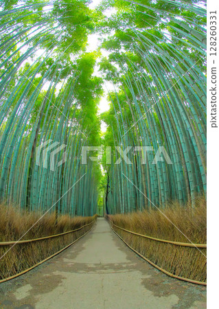 嵐山竹林的小直徑 128260331