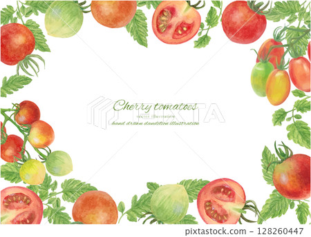 水彩櫻桃番茄框架背景的向量插圖 水彩櫻桃番茄框架背景的向量插圖 128260447