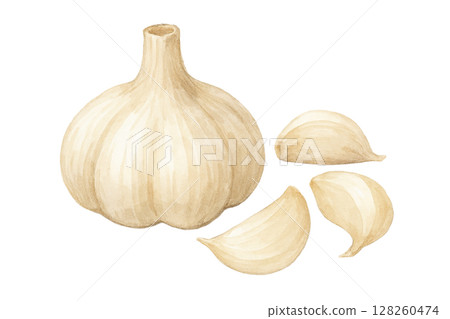 大蒜和蒜瓣水彩插圖 128260474