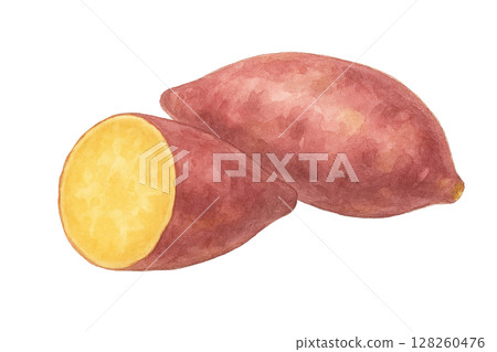 紅薯的水彩插圖（橫切面） 128260476