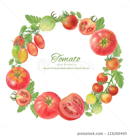 Frame material of various tomatoes painted with watercolors Frame material of various tomatoes painted with watercolors 128260495