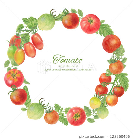 Frame material of various tomatoes painted with watercolors Frame material of various tomatoes painted with watercolors 128260496