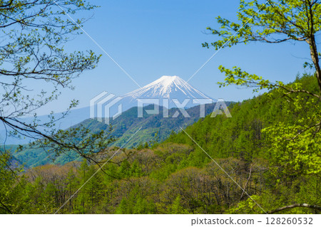 從真木黃金澤林道眺望的新綠與富士山 從真木黃金澤林道眺望的新綠與富士山 128260532