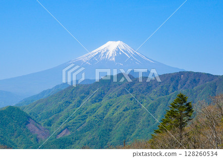 從大峠山看到的富士山 從大峠山看到的富士山 128260534