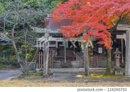 Autumn in Kyoto: Shin-Hiyoshi Shrine, Kishitasha (Toyokuni Shrine) 128260782