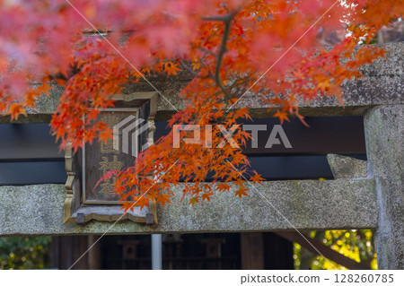 Autumn in Kyoto: Shin-Hiyoshi Shrine, Kishitasha (Toyokuni Shrine) Autumn in Kyoto: Shin-Hiyoshi Shrine, Kishitasha (Toyokuni Shrine) 128260785