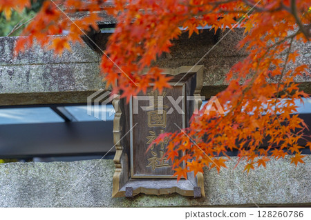 Autumn in Kyoto: Shin-Hiyoshi Shrine, Kishitasha (Toyokuni Shrine) 128260786