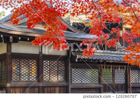Autumn in Kyoto: Shin Hiyoshi Shrine, worship hall and main hall 128260787