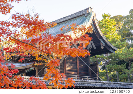 Autumn in Kyoto: Shin Hiyoshi Shrine, worship hall and main hall 128260790