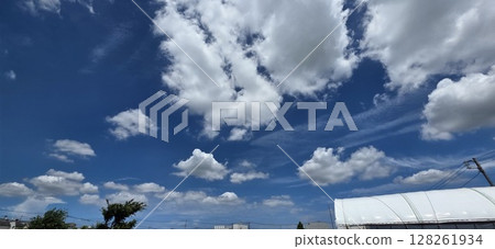 Hydrangea Rainy Scenery Rain Water Drops Blue Hydrangea Flowers Hydrangea Rainy Scenery Rain Water Drops Blue Hydrangea Flowers 128261934