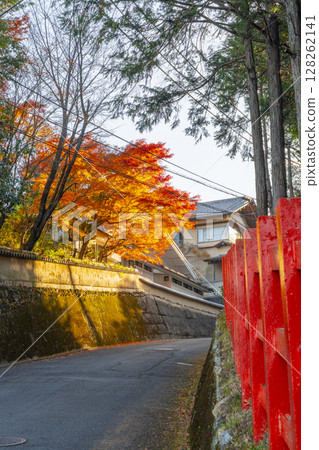 The approach to Tanukidaniyama Fudoin Temple: Bright red autumn leaves The approach to Tanukidaniyama Fudoin Temple: Bright red autumn leaves 128262141