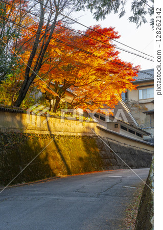 狸谷山不動院的參道:紅葉絢爛 狸谷山不動院的參道:紅葉絢爛 128262142