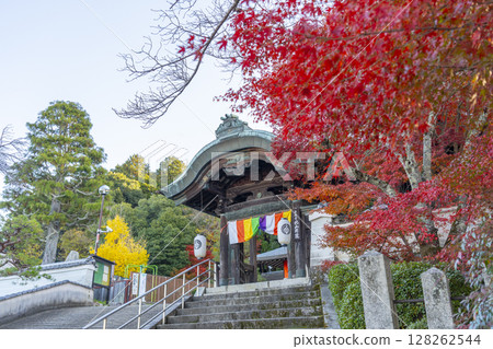 京都的秋天：紅葉環繞的本願寺北山別院山門 128262544