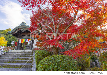 京都的秋天：紅葉環繞的本願寺北山別院山門 128262569