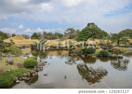 March 24 2025 Serene Japanese Garden with Water Pond and Traditional Pine, Japan March 24 2025 Serene Japanese Garden with Water Pond and Traditional Pine, Japan 128263127