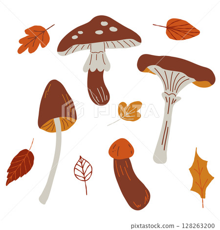 Mushrooms plants. Hand drawn natural foods. Collection of fall elements for scrapbooking, home decor and design, greeting card, banner, poster, label. 128263200