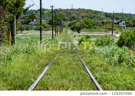 當地鐵路沿線被春花覆蓋 當地鐵路沿線被春花覆蓋 128263366