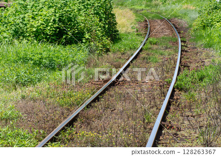 A local railway line covered in spring flowers 128263367