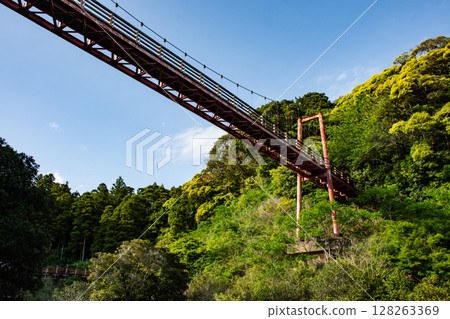森林上的吊橋 128263369