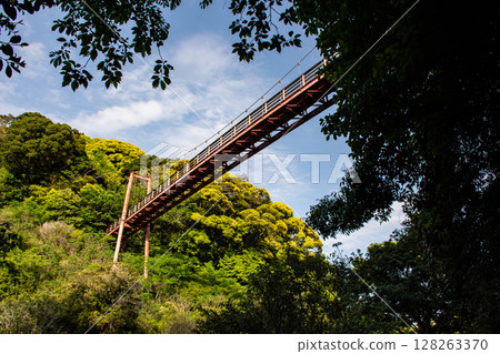森林上的吊橋 森林上的吊橋 128263370