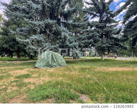 A green camping tent is pitched on grassy ground, surrounded by tall evergreen trees. The sky is partly cloudy, with patches of blue visible above. 128263985