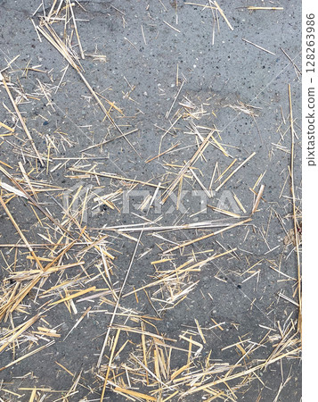 A scattered arrangement of dry straw pieces lies atop a gray concrete surface, with varying lengths and angles creating a textured visual contrast. 128263986