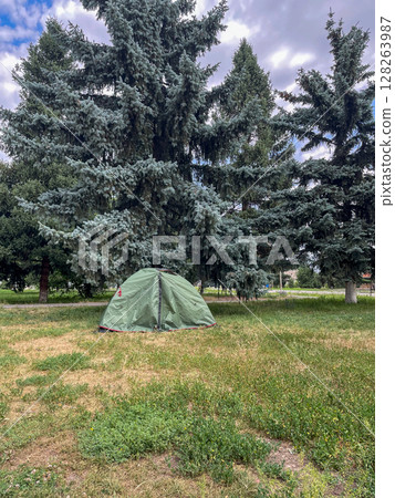 A green tent sits alone on a grassy patch, surrounded by tall, lush pine trees under a cloudy sky. The scene conveys a sense of solitude and nature. 128263987