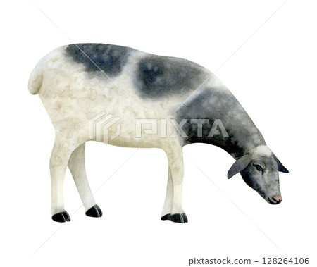 White and black sheep watercolor isolated illustration. Hand drawn grazing farm animal clip art in realistic style. Lamb sketch for village and countryside designs White and black sheep watercolor isolated illustration. Hand drawn grazing farm animal clip art in realistic style. Lamb sketch for village and countryside designs 128264106