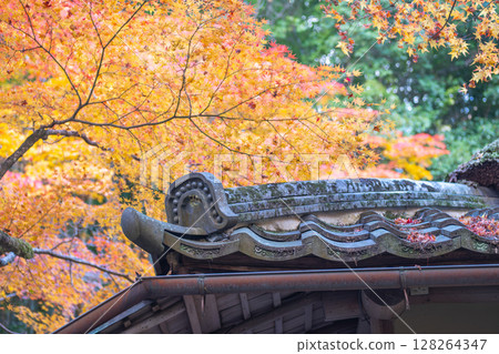 Japanese roof adorned with autumn leaves in vibrant colors. Kyoto, Japan 128264347
