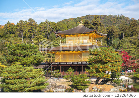 Kinkaku-ji Golden Pavilion Temple in Kyoto Japan, Serene golden temple surrounded by lush greenery and blue sky. 128264360