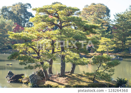 Lush greenery surrounding a tranquil pond with trees in Kinkaku-ji Golden Pavilion Temple in Kyoto Japan. Lush greenery surrounding a tranquil pond with trees in Kinkaku-ji Golden Pavilion Temple in Kyoto Japan. 128264368