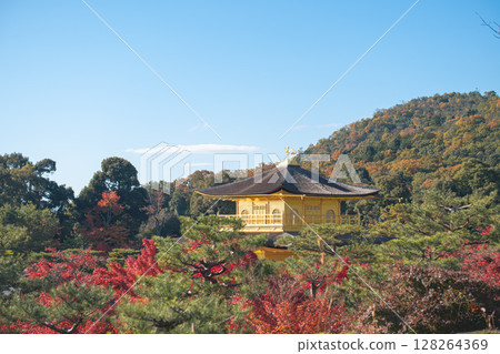 Kinkaku-ji Golden Pavilion Temple in Kyoto Japan, Serene yellow temple surrounded by vibrant nature and blue sky. 128264369