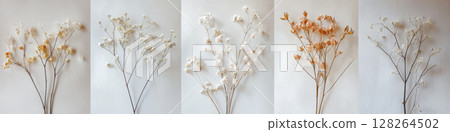 Floral compositions with delicate dried flowers and pastel tones Floral compositions with delicate dried flowers and pastel tones 128264502