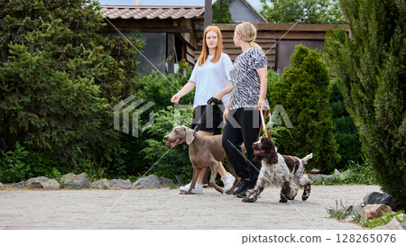 Everyday together. Two women walking dogs in lush garden setting on sunny day Everyday together. Two women walking dogs in lush garden setting on sunny day 128265076