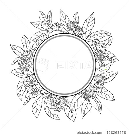 Anise Branch Outline Round Frame. 128265258