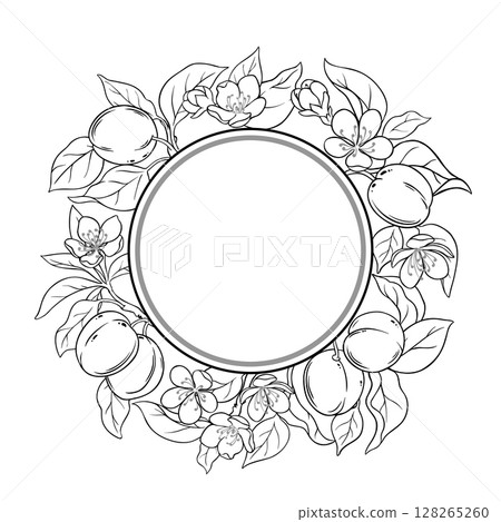 Apricot Branch Outline Round Frame. Apricot Branch Outline Round Frame. 128265260