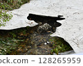 Snow and river 128265959