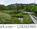 Tsugaike Nature Park 128265960